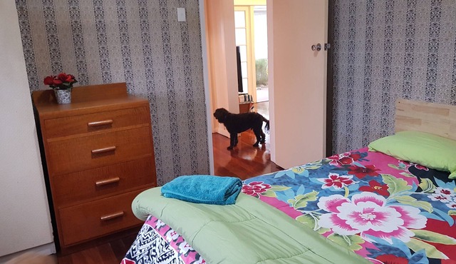 Pet friendly inside. Relocators welcome. Storage downstairs