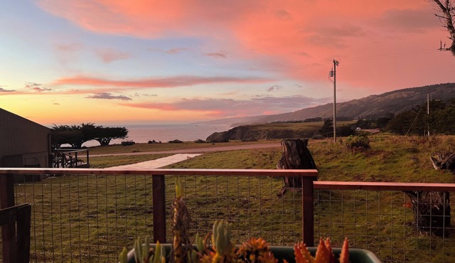 Pet Friendly, Irish Beach Getaway.