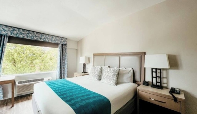 Pet-Friendly Island Gem: Private Beach w/Free Gear Rentals Near Dolphins Plus