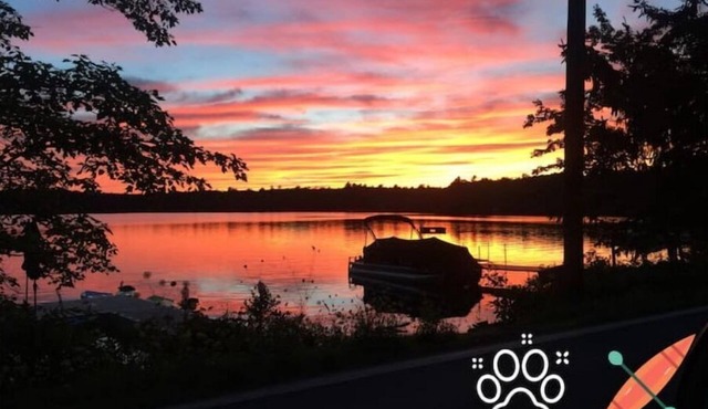 Pet Friendly Lakefront Cabinn