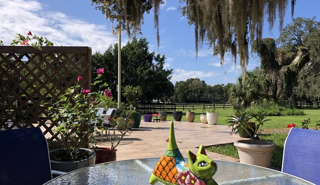 Pet friendly Large Apt on Horse Farm w/ level 2 EV Charger.