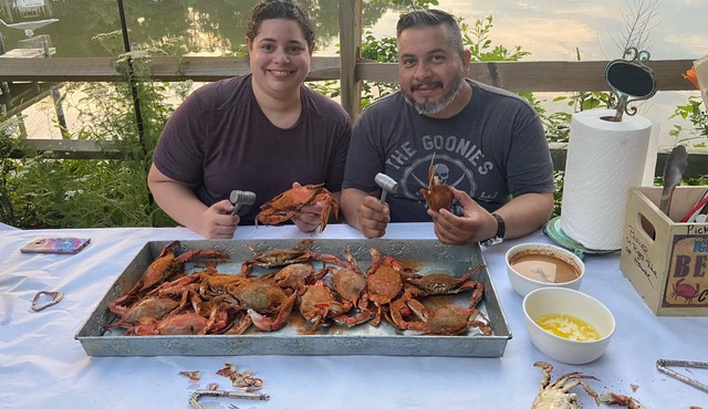 Pet friendly large waterfront three acres of privacy