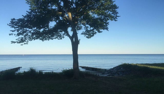 Pet friendly Large waterfront w private beach on three acres. Sleeps 15.