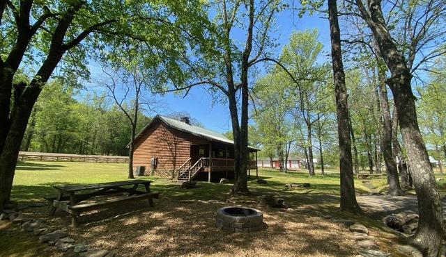 Pet Friendly Lobo Landing Cabin!