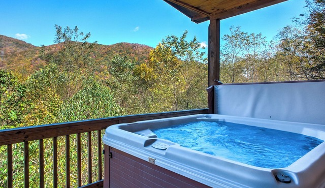 Pet-Friendly Modern Cabin w/Hot Tub, Mountain Views + Biltmore Pass