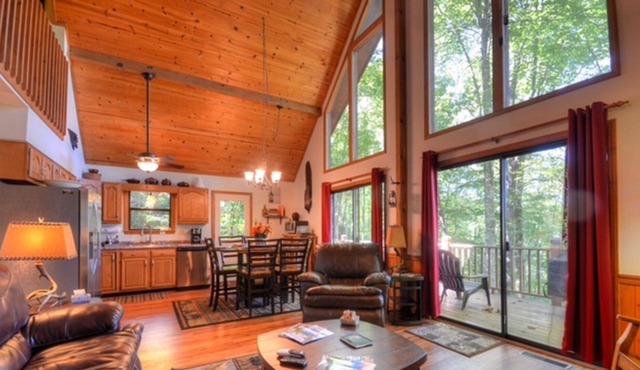 Pet Friendly Mountain View Retreat