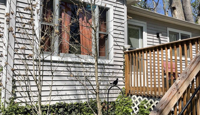 Pet friendly Nature Cottage: deck, trails, fire pit, creek, & historic district