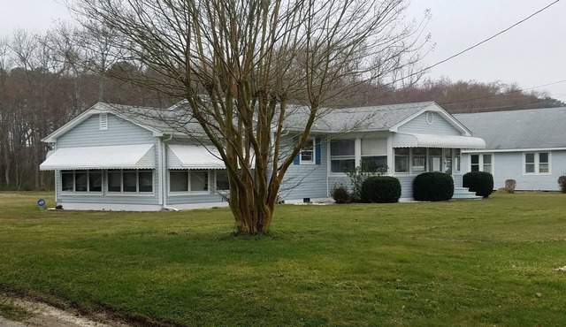 Pet Friendly Near Berlin, Assateague Island Beaches and Ocean City