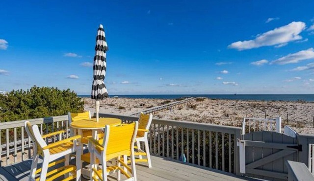 PET FRIENDLY OCEANFRONT 1BR Perfect For a COUPLE!