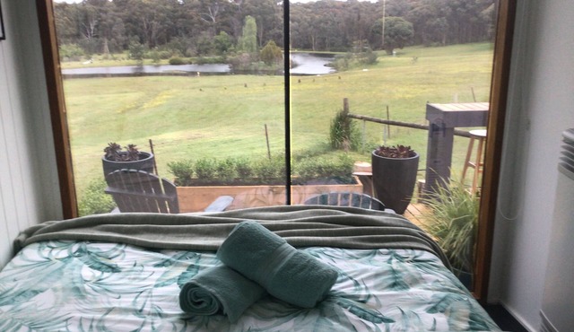 Pet friendly, Off-grid Tiny home with lake view