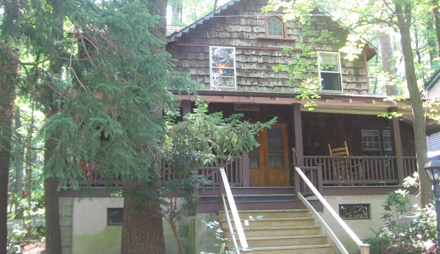 Pet Friendly on Penn