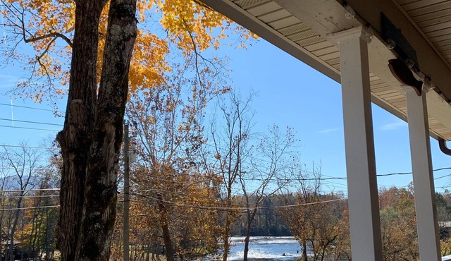 Pet friendly on the South Holston River!