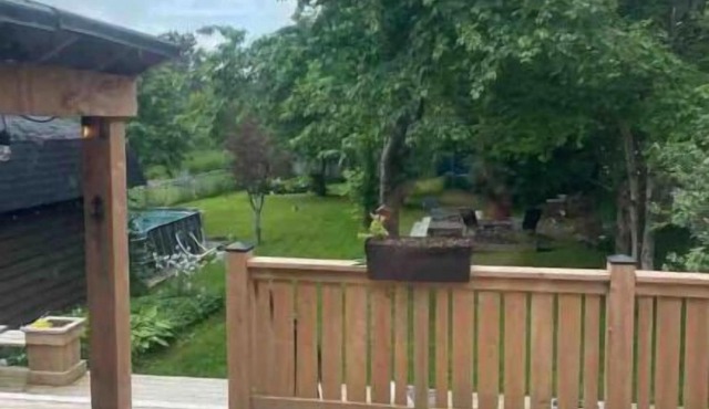 Pet-Friendly Paradise with Hot Tub & More!