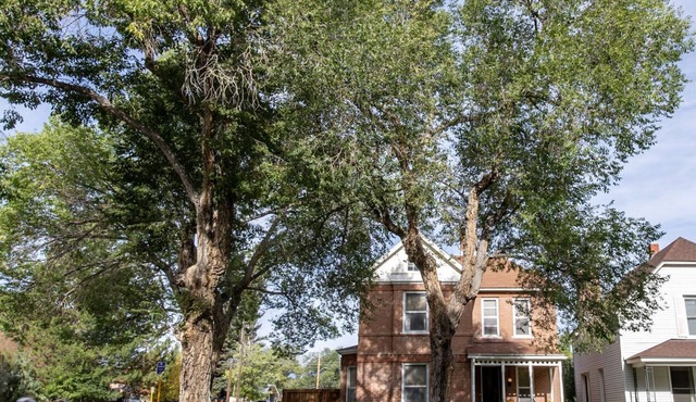 Pet Friendly-Parkside- Downtown Salida