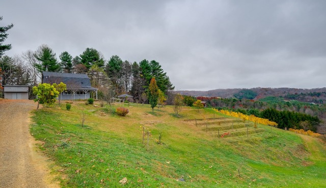 Pet-Friendly Pilot Studio w/Vineyard Views!
