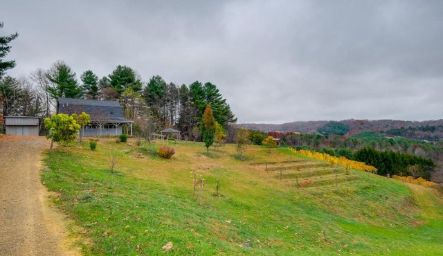 Pet-Friendly Pilot Studio with Vineyard Views!