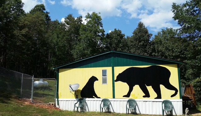 PET FRIENDLY REASONABLY PRICED MOUNTAINTOP COTTAGE