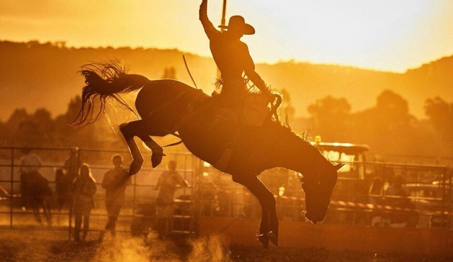 Pet-Friendly River Ranch Escape Walk to Rodeo & Ranch Activities
