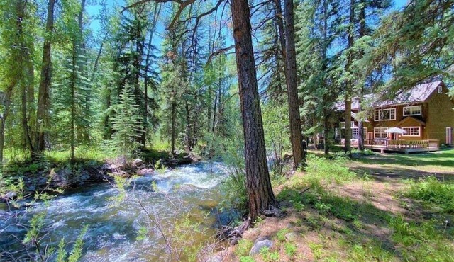 Pet Friendly Riverfront Cabin