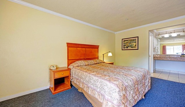 Pet-Friendly Riverside Stay w/ Queen Bed – Affordable Find for Nature Seekers!