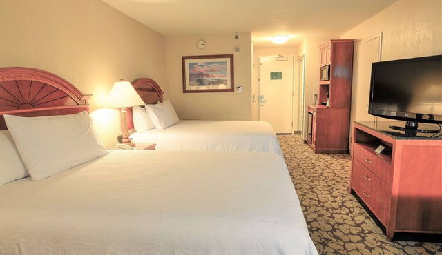 Pet-Friendly Room Ideal for Families & Travelers Near Arena Theater Houston