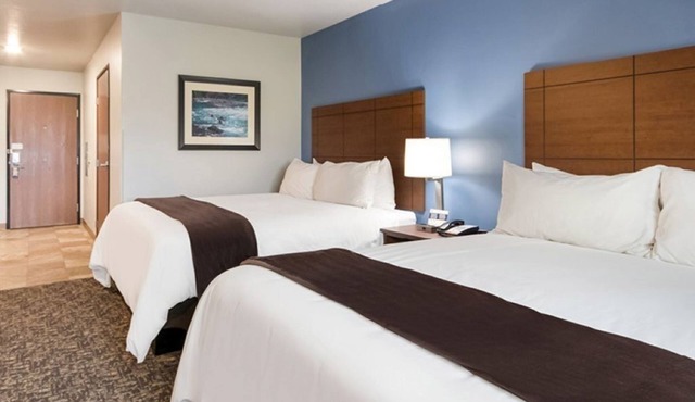 Pet-Friendly Room Near Rocky Mountain Elk | Perfect for Traveling w/Dogs