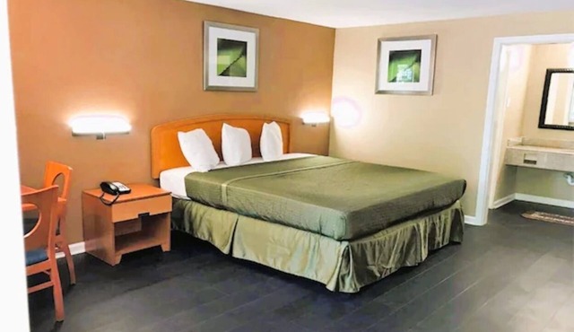 Pet-Friendly Room with Free Parking near Donald L. Tucker Civic Center