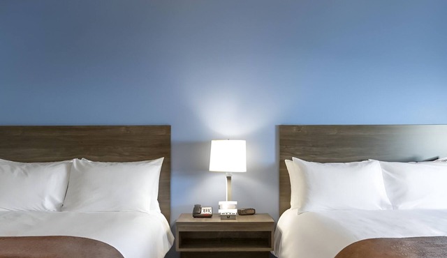 Pet Friendly Room with Full Kitchen Setup In-Room - Close to Major Attractions