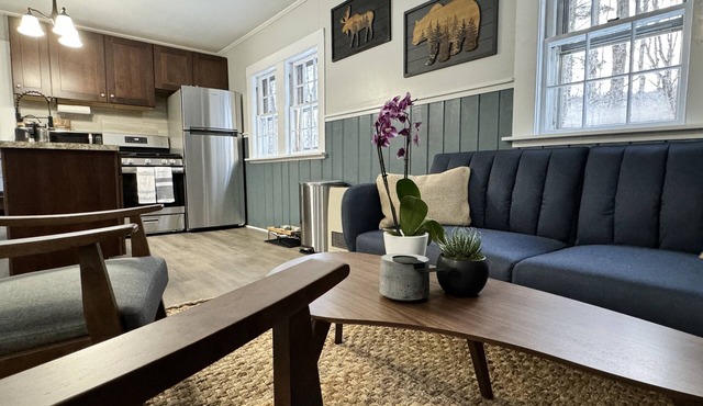 Pet-friendly rustic ski cottage! nNH Wooded Oasis, one mile to large Ski Resort!