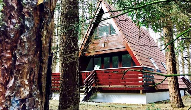 Pet-friendly Scandinavian A-Frame woodland retreat on the North Norfolk coast!