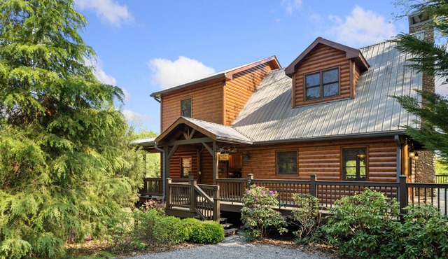 Pet Friendly, Shade Tree Lodge, Minutes to Downtown Blue Ridge, GAn