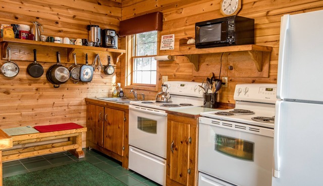 Pet Friendly Ski Cabin In the Northwoods
