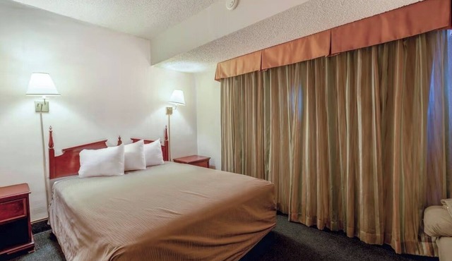Pet-Friendly Space w/Hairdryer, Iron & Essentials For Stress-Free Travels