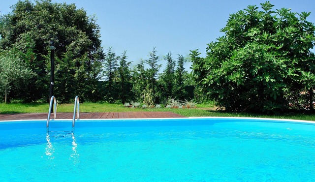 Pet friendly stone villa near Rovinj