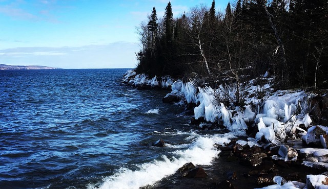 Pet-Friendly Studio on Croftville Road