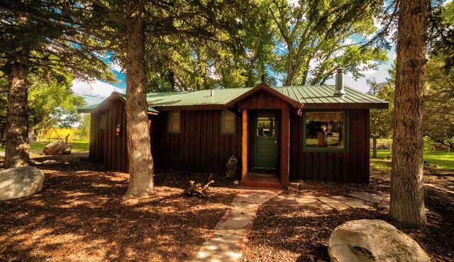 Pet-Friendly Studio Cabin with River Access, Mountain Views & Hot Tub!