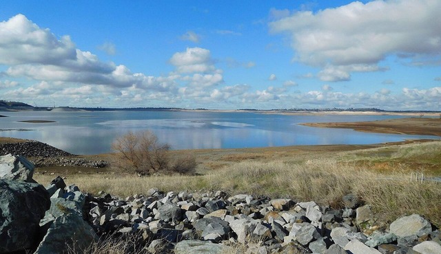 Pet-Friendly Studio w/Kitchenette, Close to Folsom Zoo Sanctuary