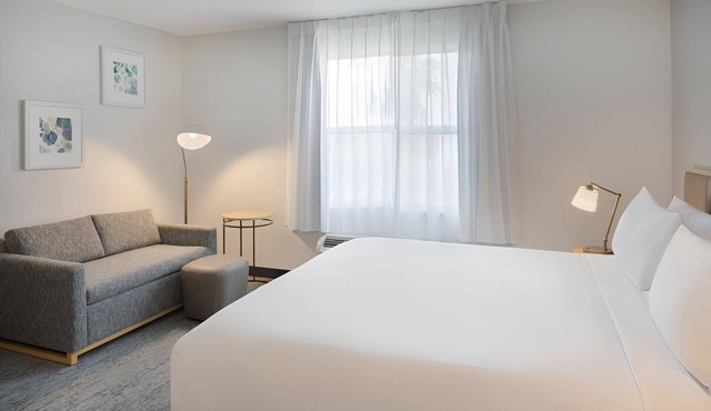 Pet-Friendly Studio with Full Kitchen Perfect for Extended Stays in Tampa