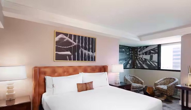 Pet-Friendly Suite by Bush Library & Art Museum