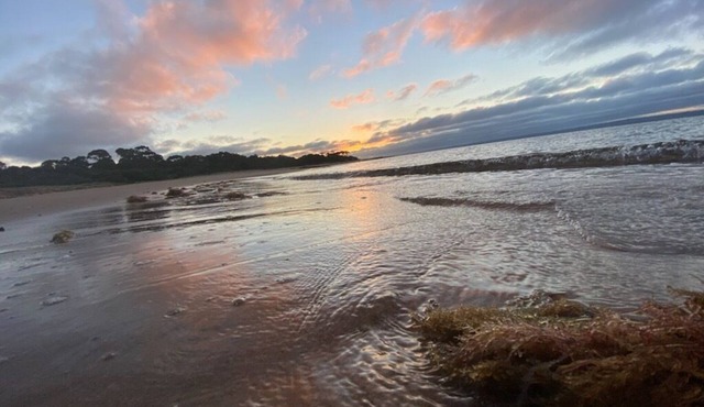 Pet friendly Tiny bungalow - 5 minute walk to the beach!