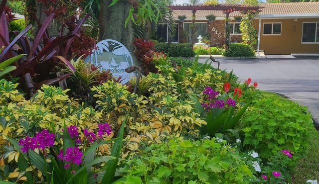 Pet Friendly Tropical Studio with Private Kitchen and Bath