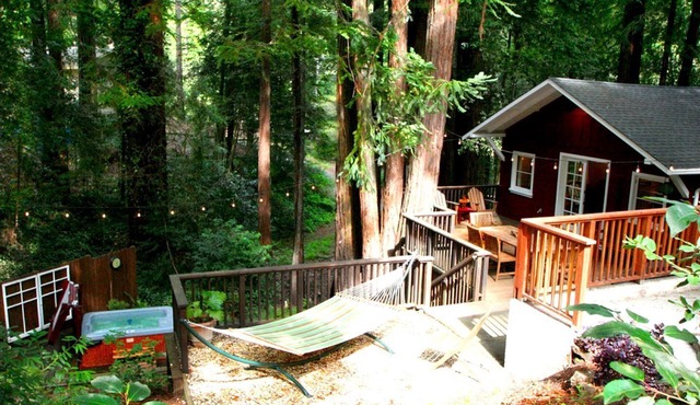 Pet-Friendly Cabin Rental for Glamping in Northern California