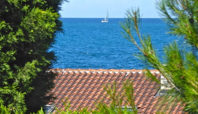 Pet-friendly vacation home right by the sea -up to 15% discount for early bookers