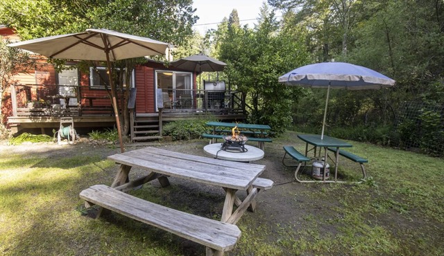 Pet Friendly Vacation Wonderland On Dutch Bill Creek 1 Mile To Monte Rio Beach