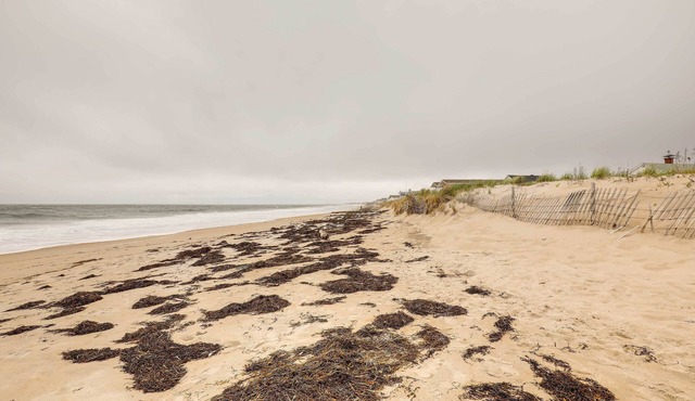 Pet-Friendly Vacation Rental in the Salisbury Area