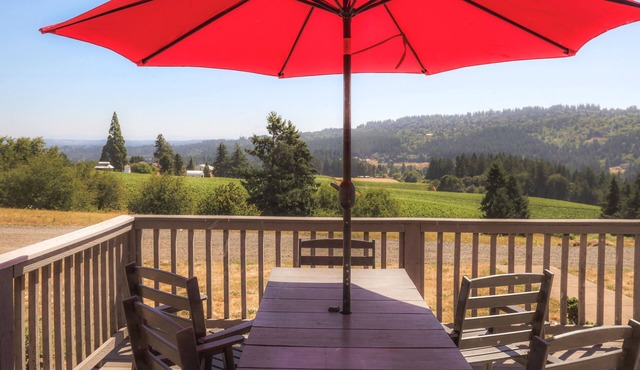 Pet Friendly Vineyard Home with Mountain Views