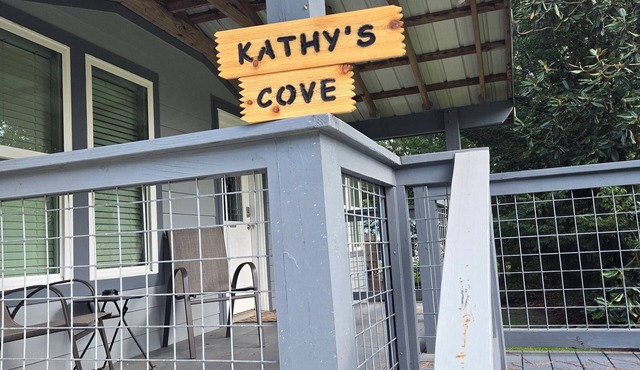 Pet friendlynKayak with the manatees