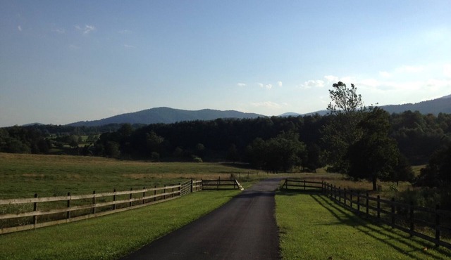 Pete's Place: Forest retreat near wineries, Blue Ridge School, and Shenandoah NP