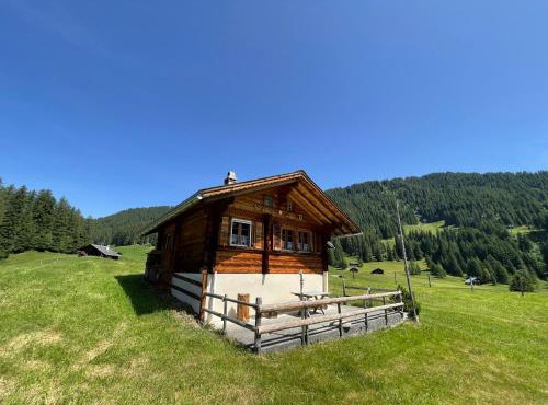 Peter's Hütte in Hasliberg Bidmi