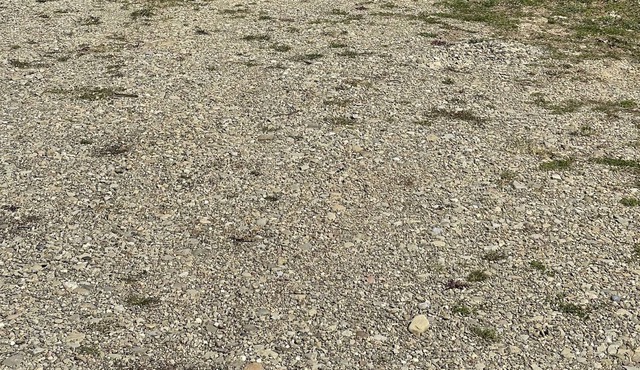 Peter's Lookout over Lake Erie and tiny cabin retreat # 1